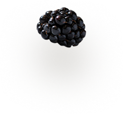 instructions fruit A